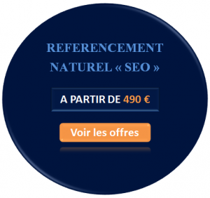 Agence SEO spécialisée en référencement naturel de site e-commerce